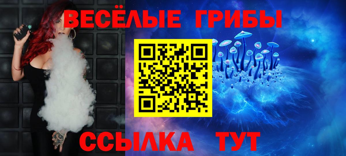 Псилоцибиновые грибы прущие грибы  Вход с VPN  Чистополь 